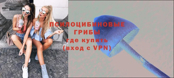 дживик Новозыбков
