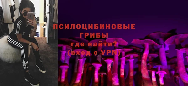 дживик Новозыбков