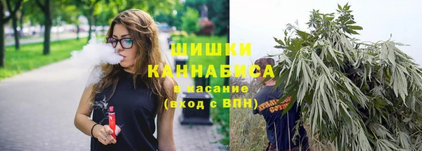 дживик Новозыбков