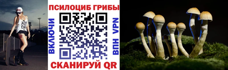 Псилоцибиновые грибы Magic Shrooms  где продают наркотики  Кувшиново 